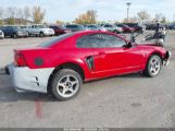 FORD MUSTANG GT photo