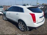 CADILLAC SRX PERFORMANCE COLLECTION photo