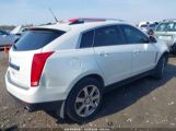 CADILLAC SRX PERFORMANCE COLLECTION photo