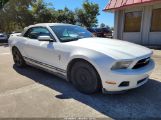 FORD MUSTANG photo