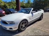 FORD MUSTANG photo