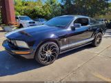 FORD MUSTANG photo