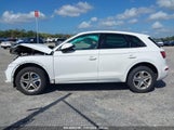 Audi Q5 2.0T Premium/2.0T Tech Premium WA1ANAFY9J2143053 photo