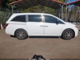 HONDA ODYSSEY EX-L снимка