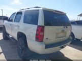 CHEVROLET TAHOE COMMERCIAL FLEET photo