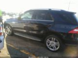 MERCEDES-BENZ ML 350 photo