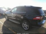 MERCEDES-BENZ ML 350 photo