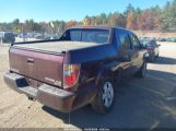 HONDA RIDGELINE RTL photo