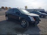 CADILLAC SRX LUXURY COLLECTION снимка