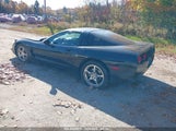 CHEVROLET CORVETTE 1G1YY22G515****** photo