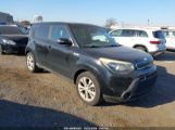 KIA SOUL + photo