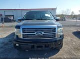 FORD F-150 PLATINUM photo