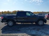 FORD F-150 PLATINUM photo