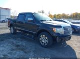 FORD F-150 PLATINUM photo