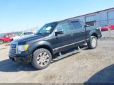 FORD F-150 PLATINUM photo