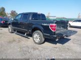 FORD F-150 PLATINUM photo