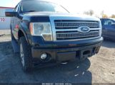 FORD F-150 PLATINUM photo