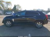 CADILLAC SRX LUXURY COLLECTION photo