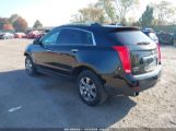 CADILLAC SRX LUXURY COLLECTION photo