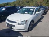 CHEVROLET MALIBU 1LT photo