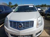 CADILLAC SRX PREMIUM COLLECTION photo