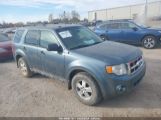 FORD ESCAPE XLT снимка