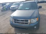 FORD ESCAPE XLT photo