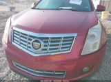 CADILLAC SRX PERFORMANCE COLLECTION photo