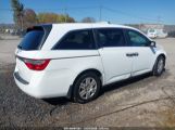 HONDA ODYSSEY LX 5FNRL5H28BB****** photo