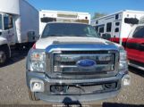 FORD F-550 CHASSIS XLT photo