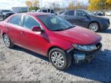 KIA FORTE EX photo