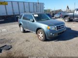 FORD ESCAPE XLT photo