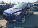 FORD ESCAPE TITANIUM photo