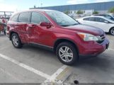 HONDA CR-V EX-L photo