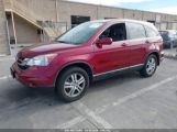 HONDA CR-V EX-L photo