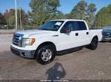 FORD F-150 XLT 1FTEW1CM2CF****** fotografie