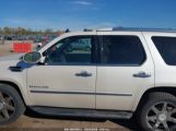 CADILLAC ESCALADE STANDARD photo