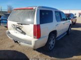 CADILLAC ESCALADE STANDARD photo