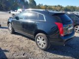 CADILLAC SRX LUXURY COLLECTION photo