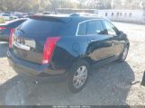 CADILLAC SRX LUXURY COLLECTION photo