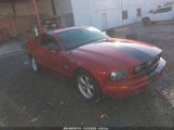 FORD MUSTANG V6/V6 PREMIUM photo