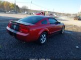 FORD MUSTANG V6/V6 PREMIUM photo