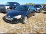 VOLKSWAGEN EOS 2.0T photo