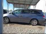 HONDA ODYSSEY EX photo