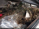 TOYOTA TACOMA PRERUNNER 4TANM92NXXZ422169 photo