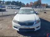 HONDA ACCORD LX photo