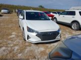 HYUNDAI ELANTRA SE photo