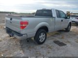 FORD F-150 FX2 SPORT/STX/XL/XLT photo