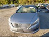 HYUNDAI SONATA photo