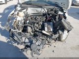 VOLKSWAGEN TIGUAN SE WVGBV7AX1DW****** снимка